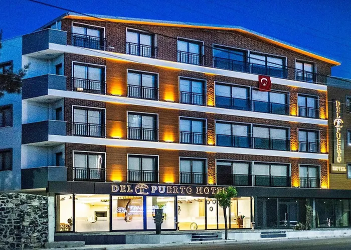 Del Puerto Aliaga